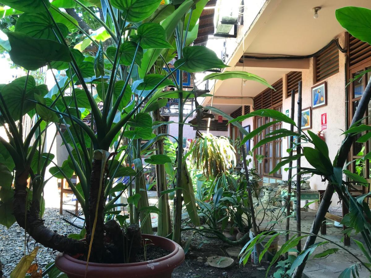 Casa De Palos Boutique Tarapoto Exterior photo